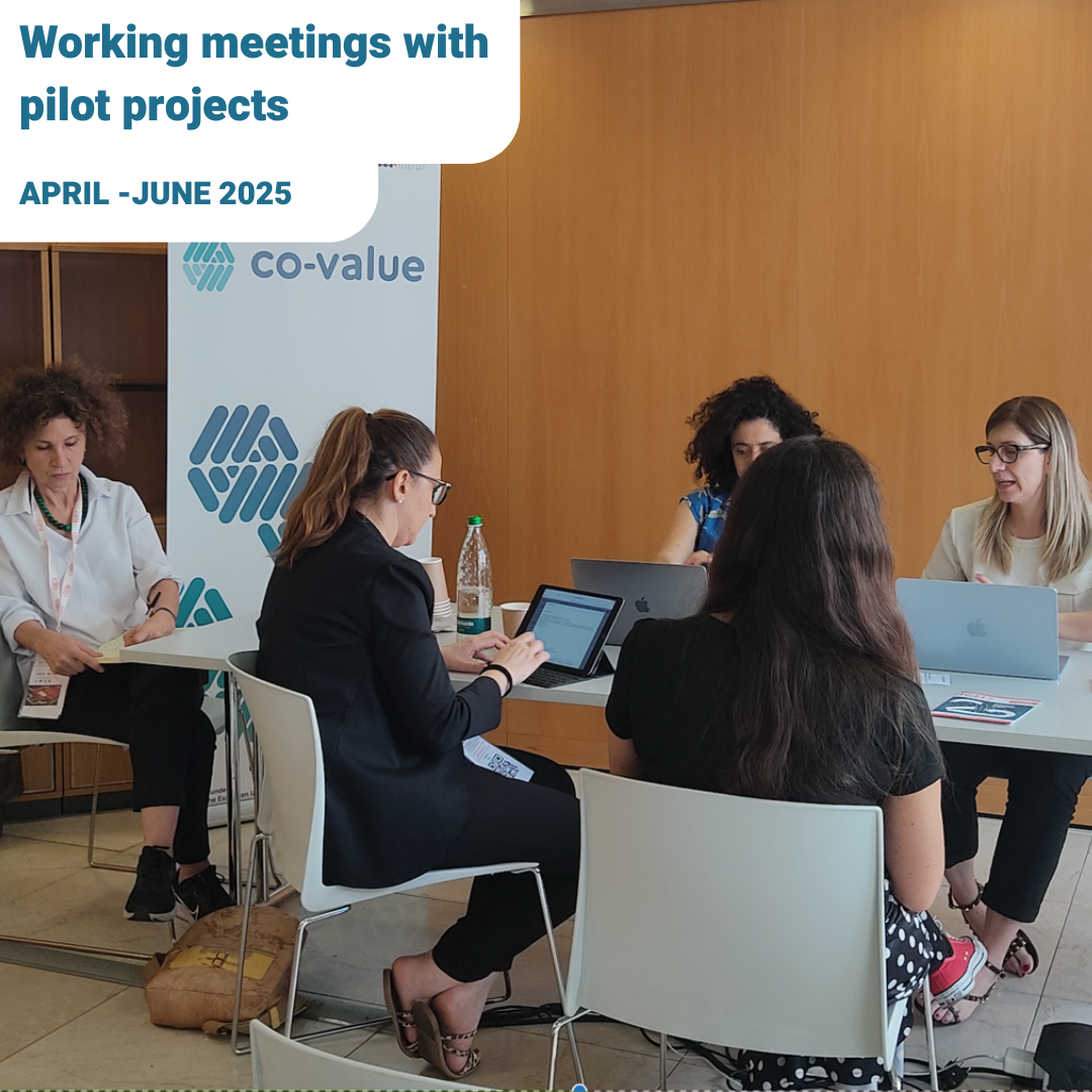 Working meetings with pilot projects