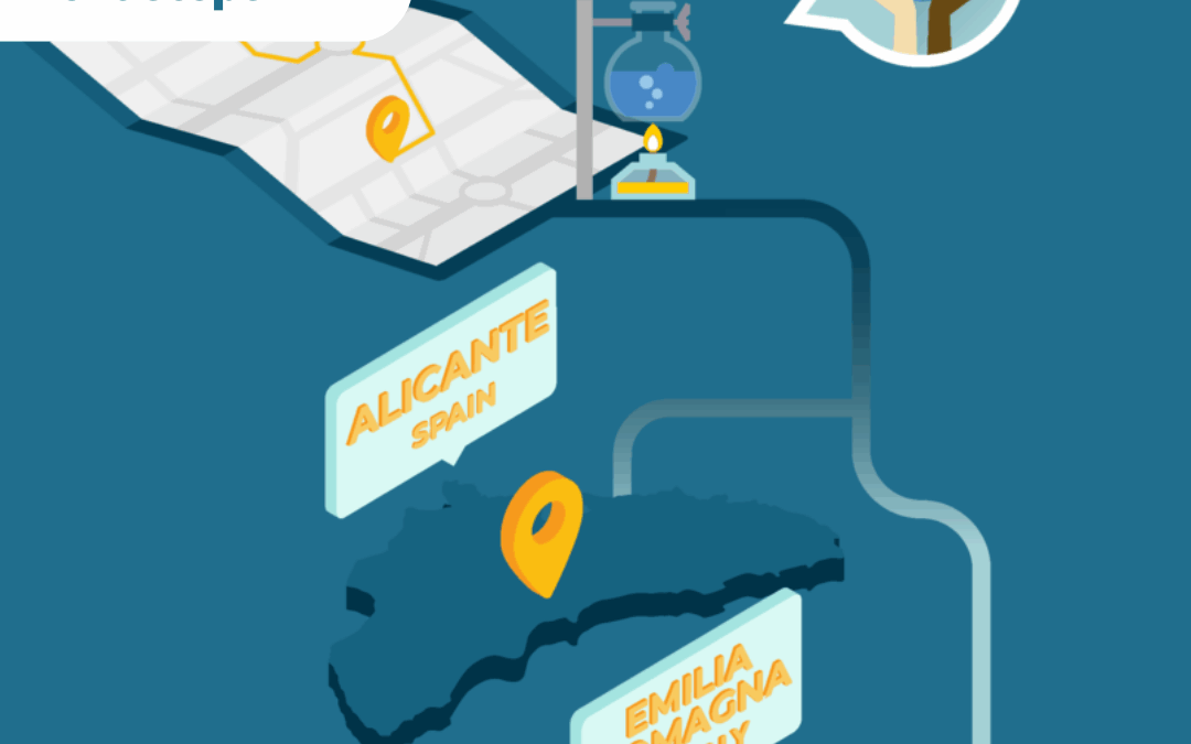 Pilots and Disemination