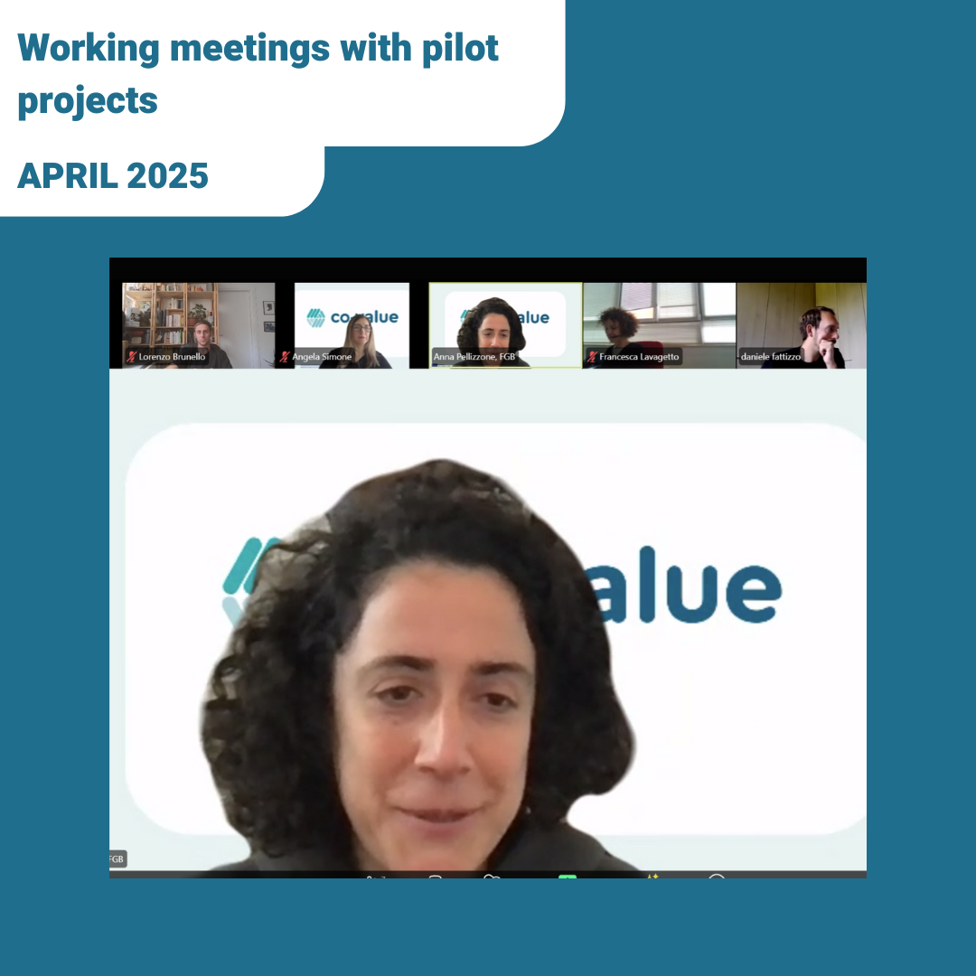 Working meetings with pilot projects