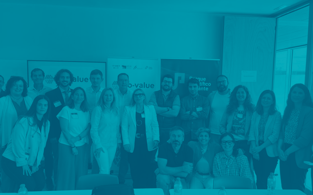Exchange of experiences during local shadowing in Alicante