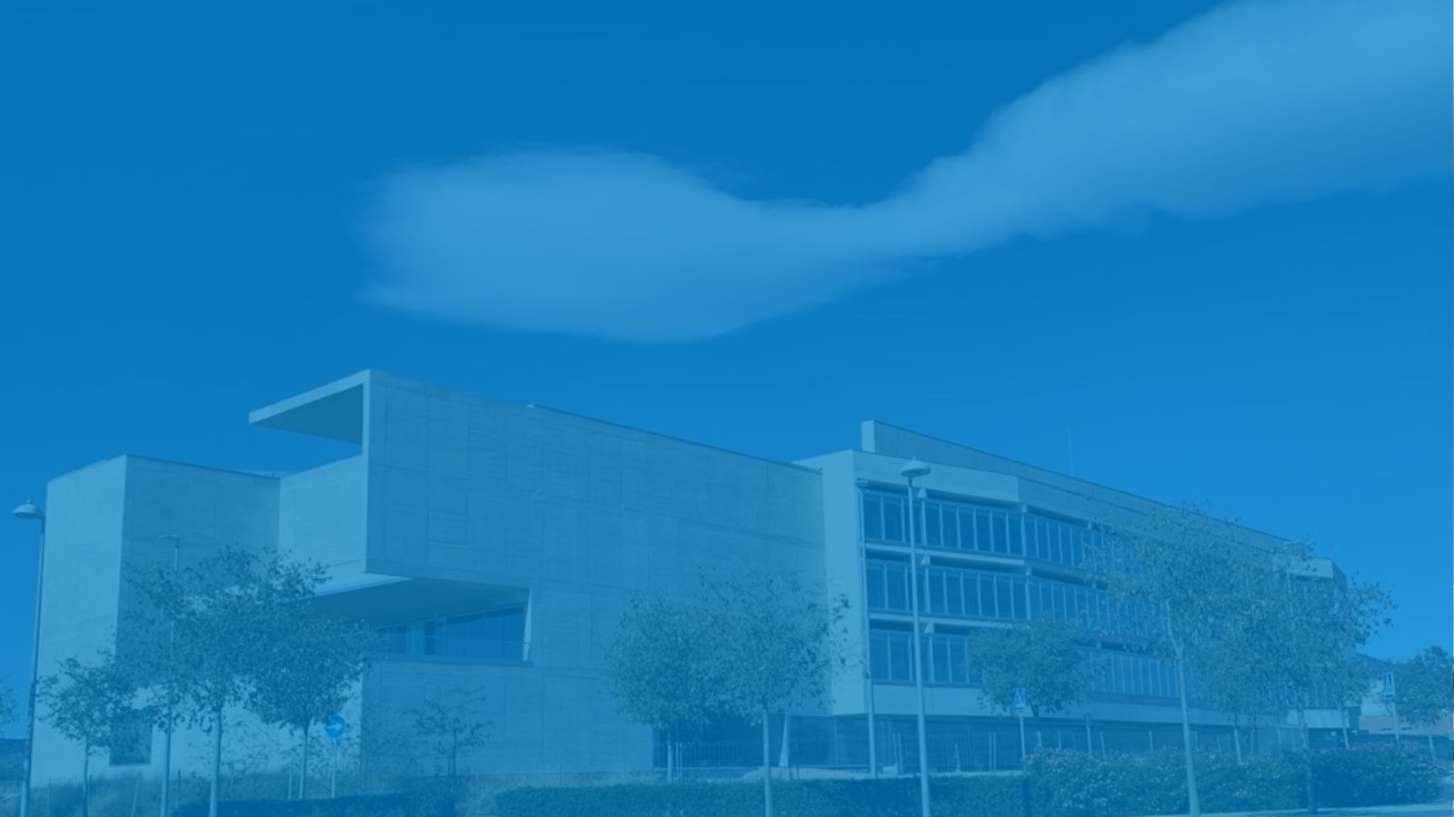 CO-VALUE pilots carried out in Alicante